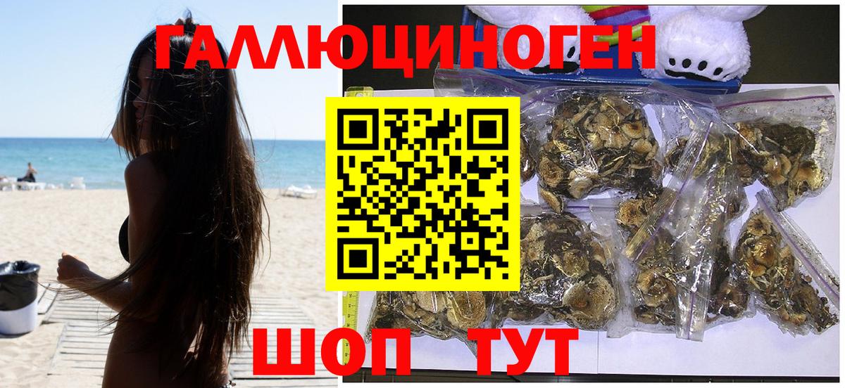 Галлюциногенные грибы мицелий Похвистнево